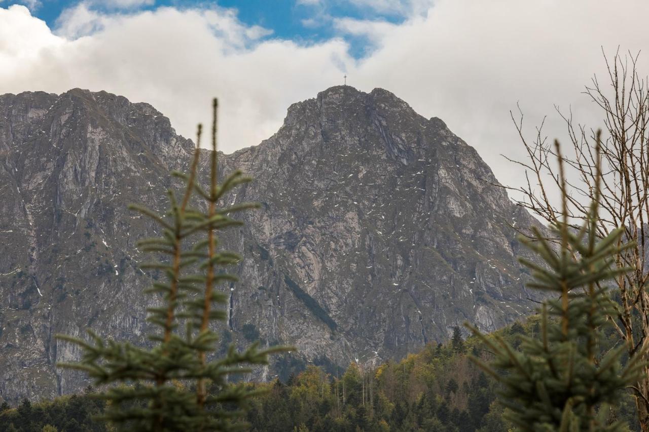 Rent like home - Góralska Nuta Zakopane Zewnętrze zdjęcie